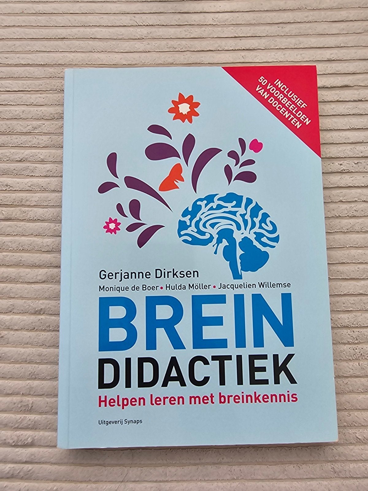 Breindidactiek: Helpen leren met breinkennis, Ophalen of Verzenden, Nieuw, HBO, Gerjanne Dirksen