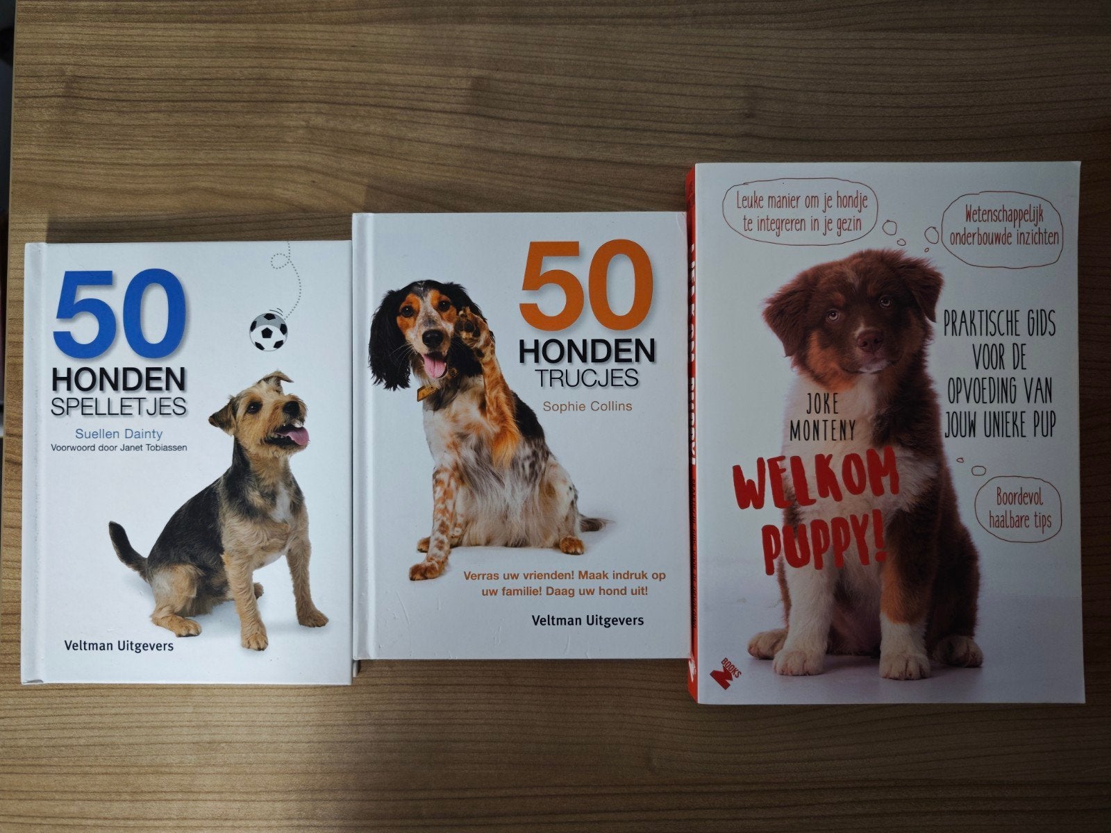 Hondenboeken: Spelletjes, Trucjes & Puppy Opvoeding, Ophalen of Verzenden, Zo goed als nieuw, Honden