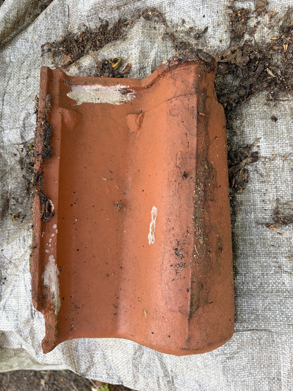 Oude dakpan van klei, Van Rum en Kley 4000 stuks, Ophalen, Gebruikt, Steen of Klei, 15 m² of meer