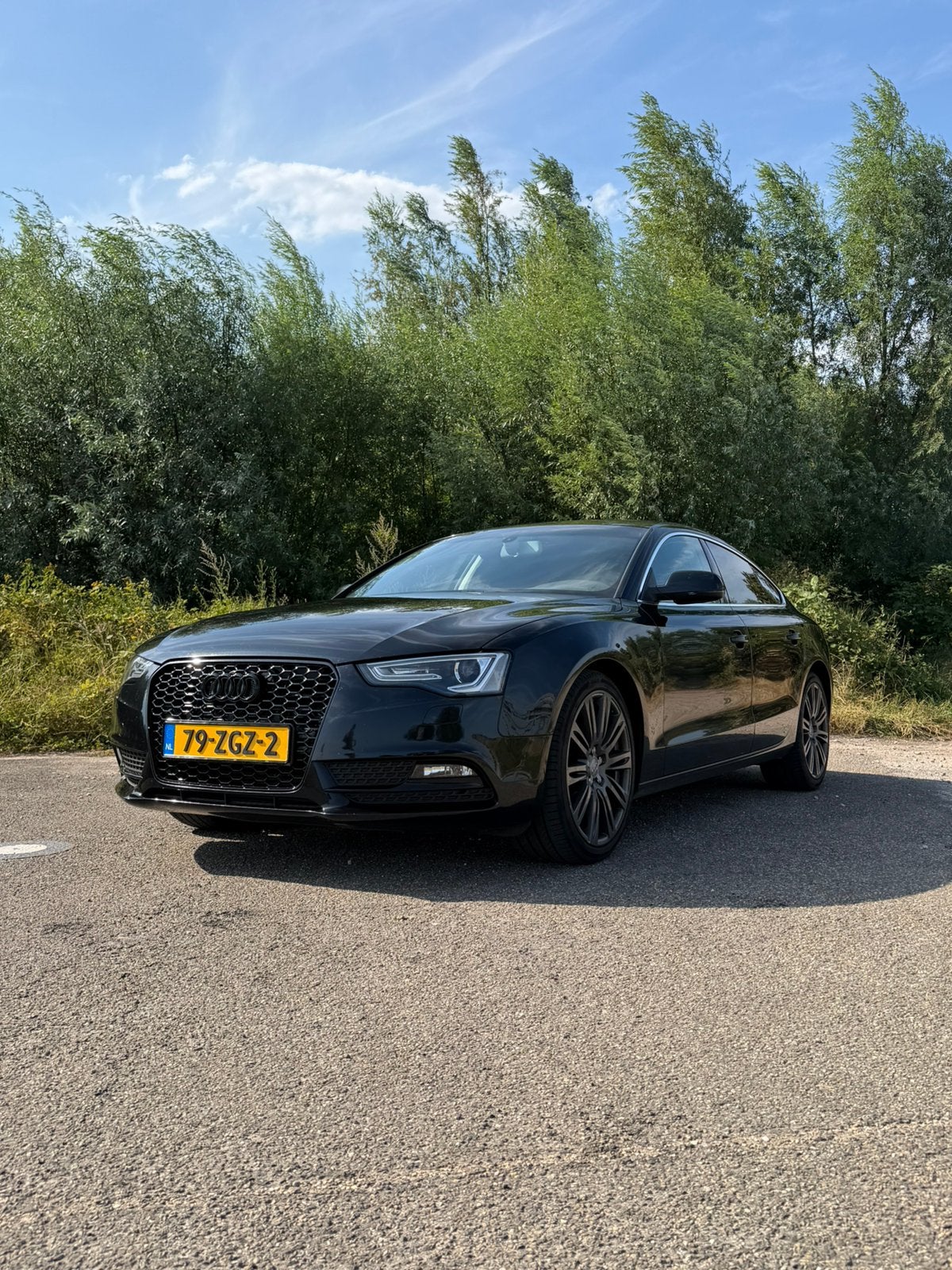Audi A5 Business-Line, Voorwielaandrijving, Stof, 4 cilinders, 1465 kg