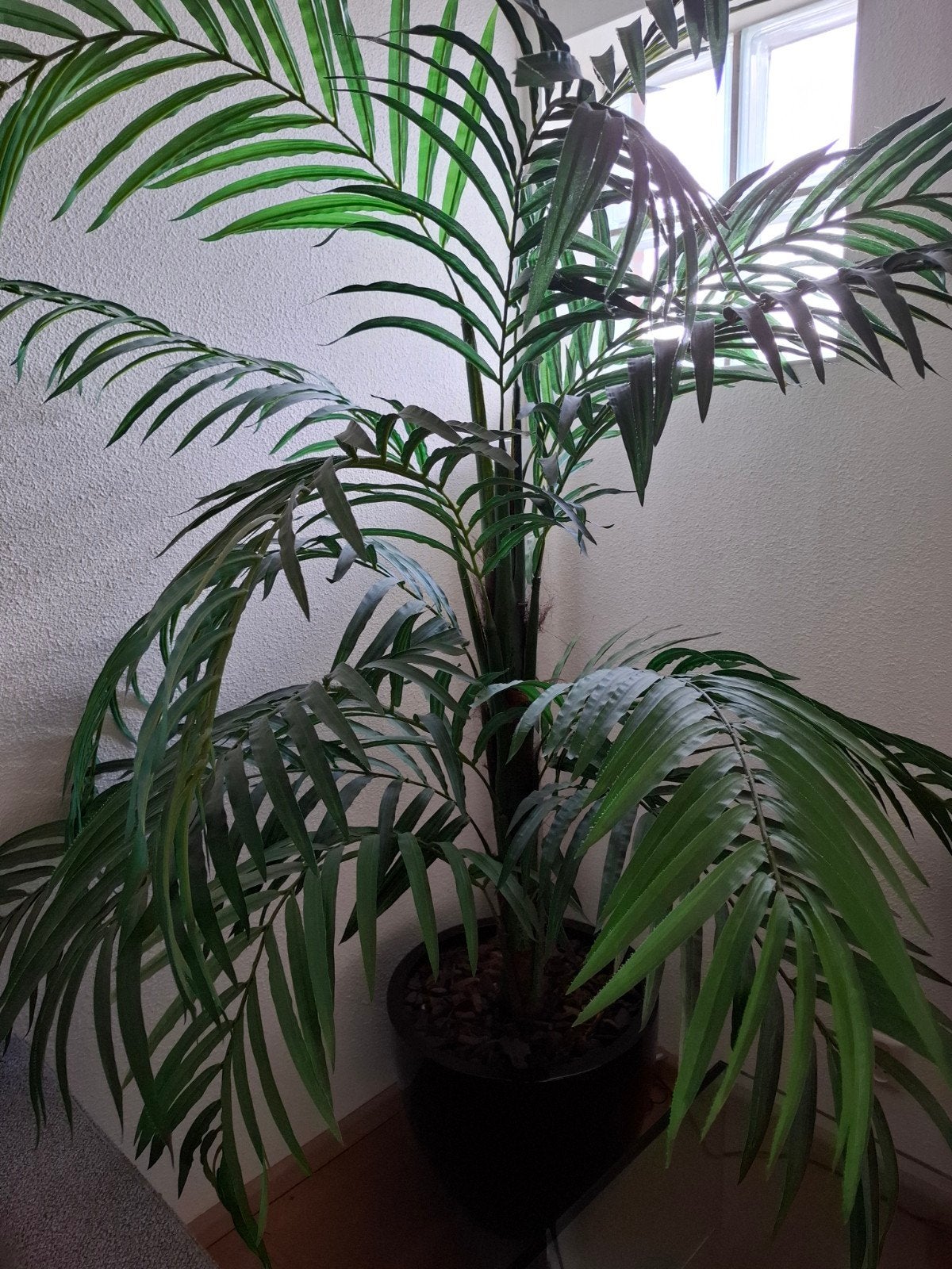 Kunststof Palm in Pot - 200 cm hoog, 170 cm breed, Ophalen, Binnen, Onderhoudsvrij, Kunstplant