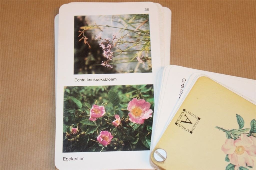 Handige Wandelwaaier — Wilde Bloemen — Kees Kervels, Ophalen of Verzenden, Gelezen, Bloemen, Planten en Bomen