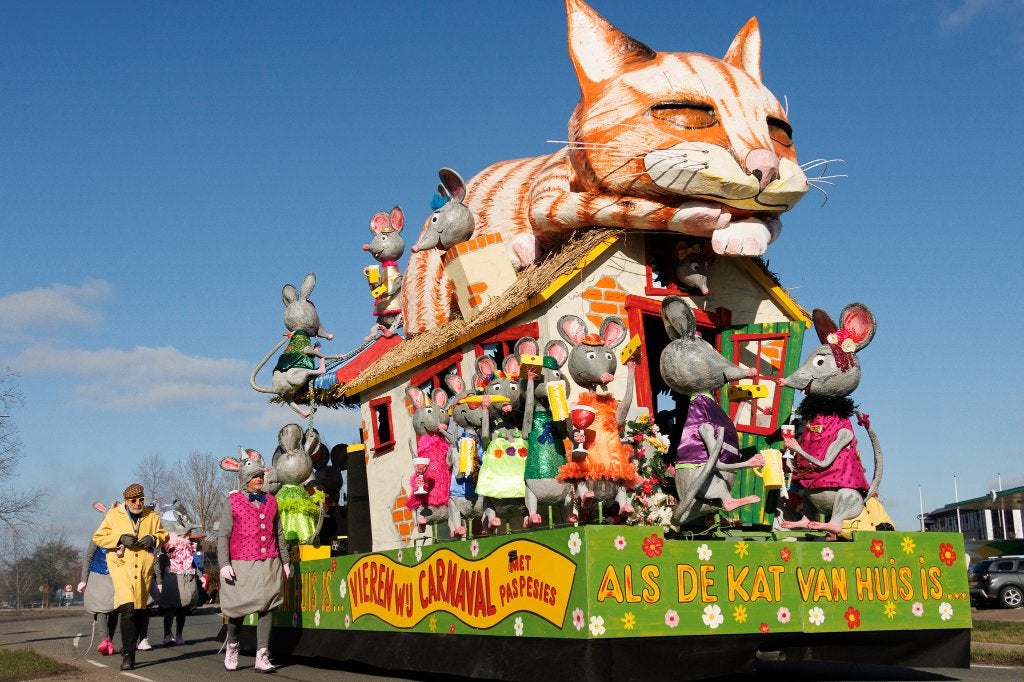 Carnavalswagen kleding voor 18 pers 'Als de kat van huis is', Ophalen, Gebruikt, Feestartikel, Carnaval
