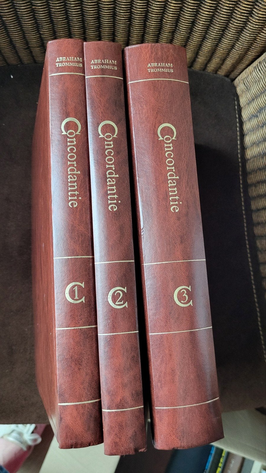 Volkomene Nederlandsche Concordantie - Abraham Trommius, Boeken, Ophalen of Verzenden