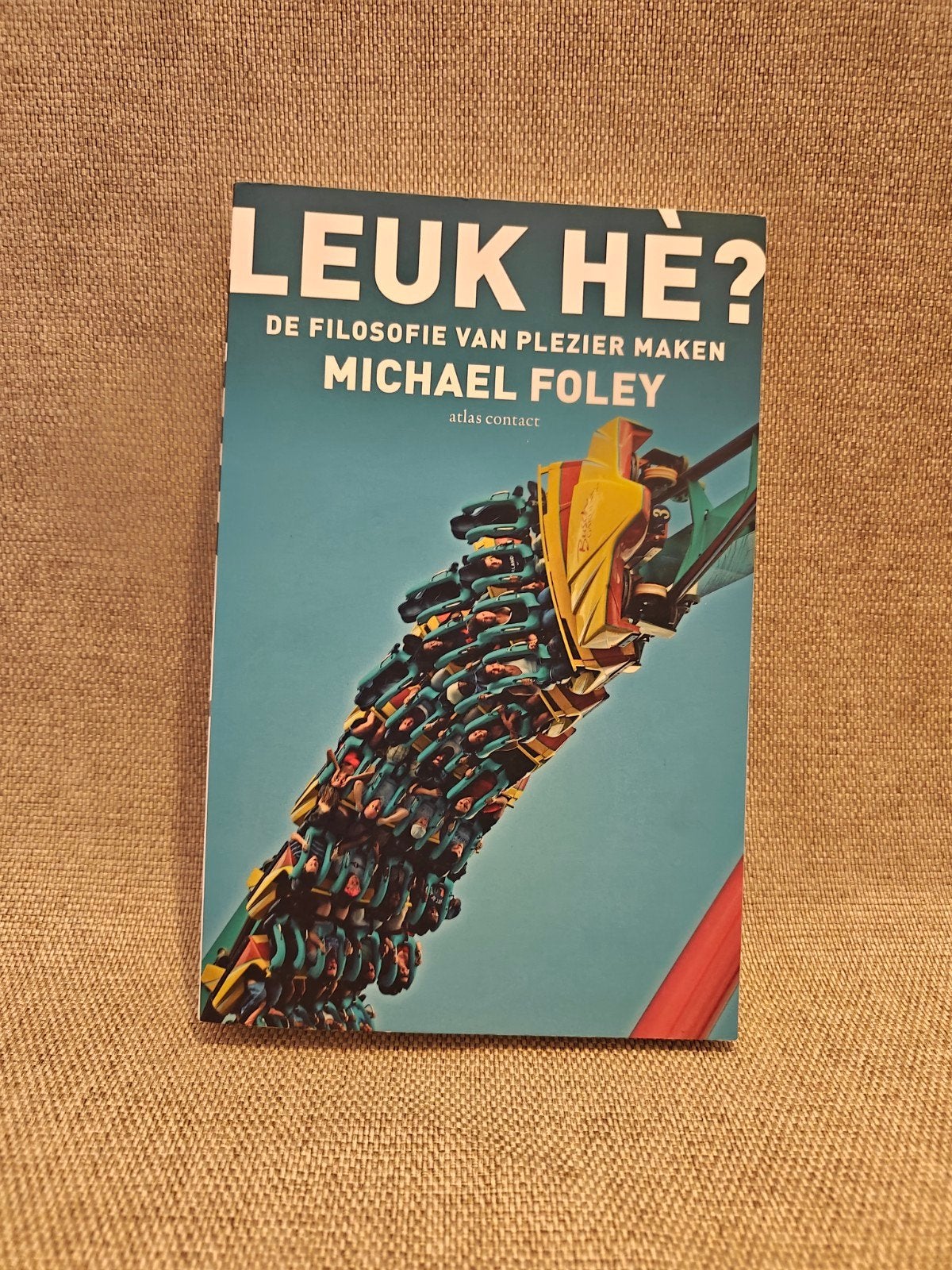 Leuk hè? De filosofie van plezier maken - Michael Foley, Boeken, Ophalen of Verzenden, Zo goed als nieuw, Michael Foley, Nederland