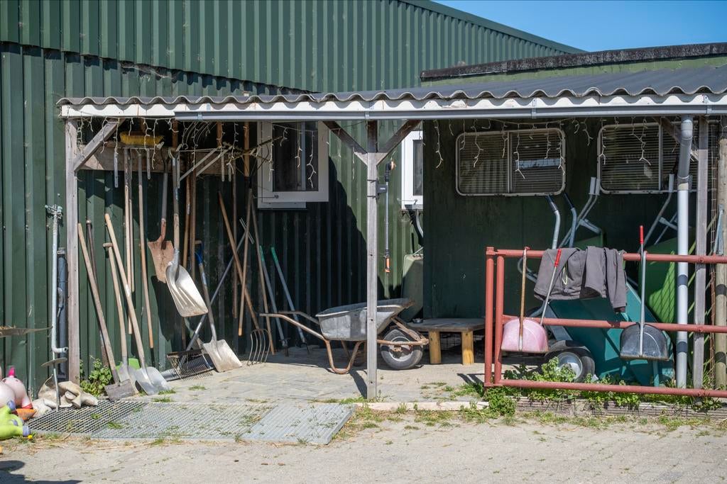 Stal vrij !, Weidegang, 1 paard of pony