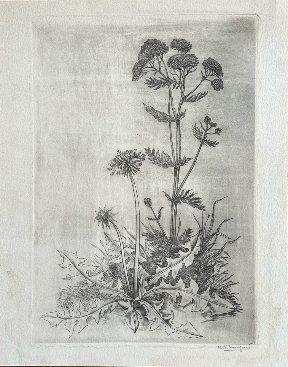 Ets, Ophalen of Verzenden