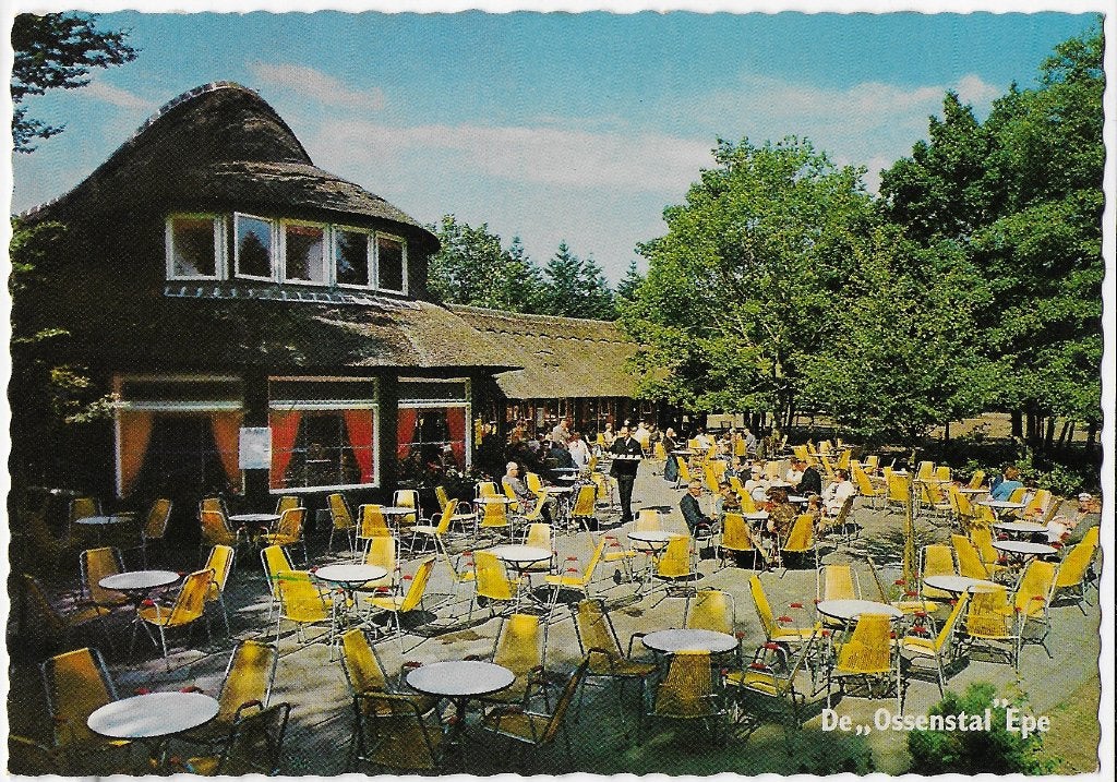 Epe De Ossenstal Ongelopen Ansichtkaart ( 178 ), Ophalen of Verzenden, 1980 tot heden, Ongelopen, Gelderland