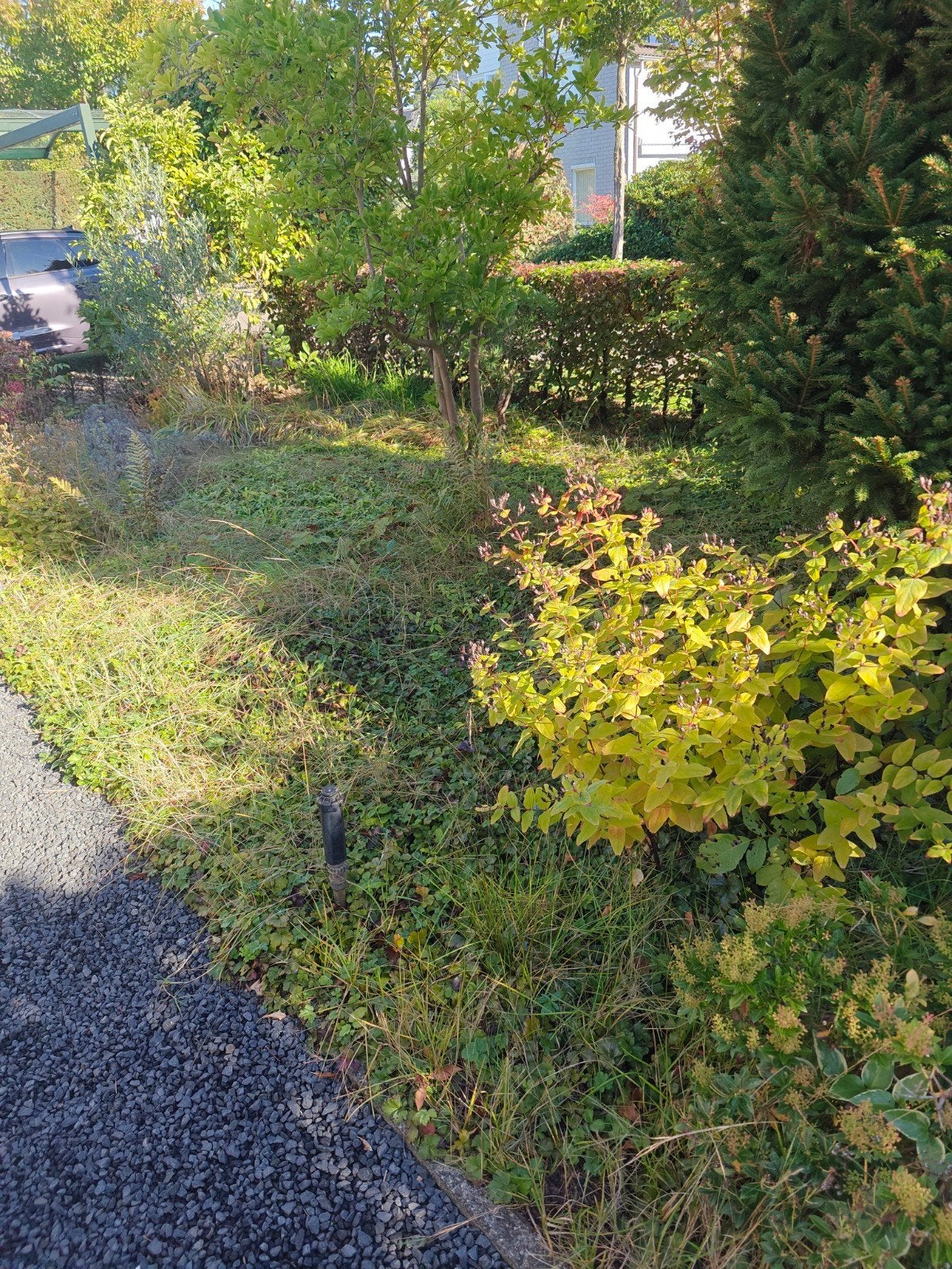 gezocht tuinman voor klein onderhoud, Tuinonderhoud of Snoeiwerk