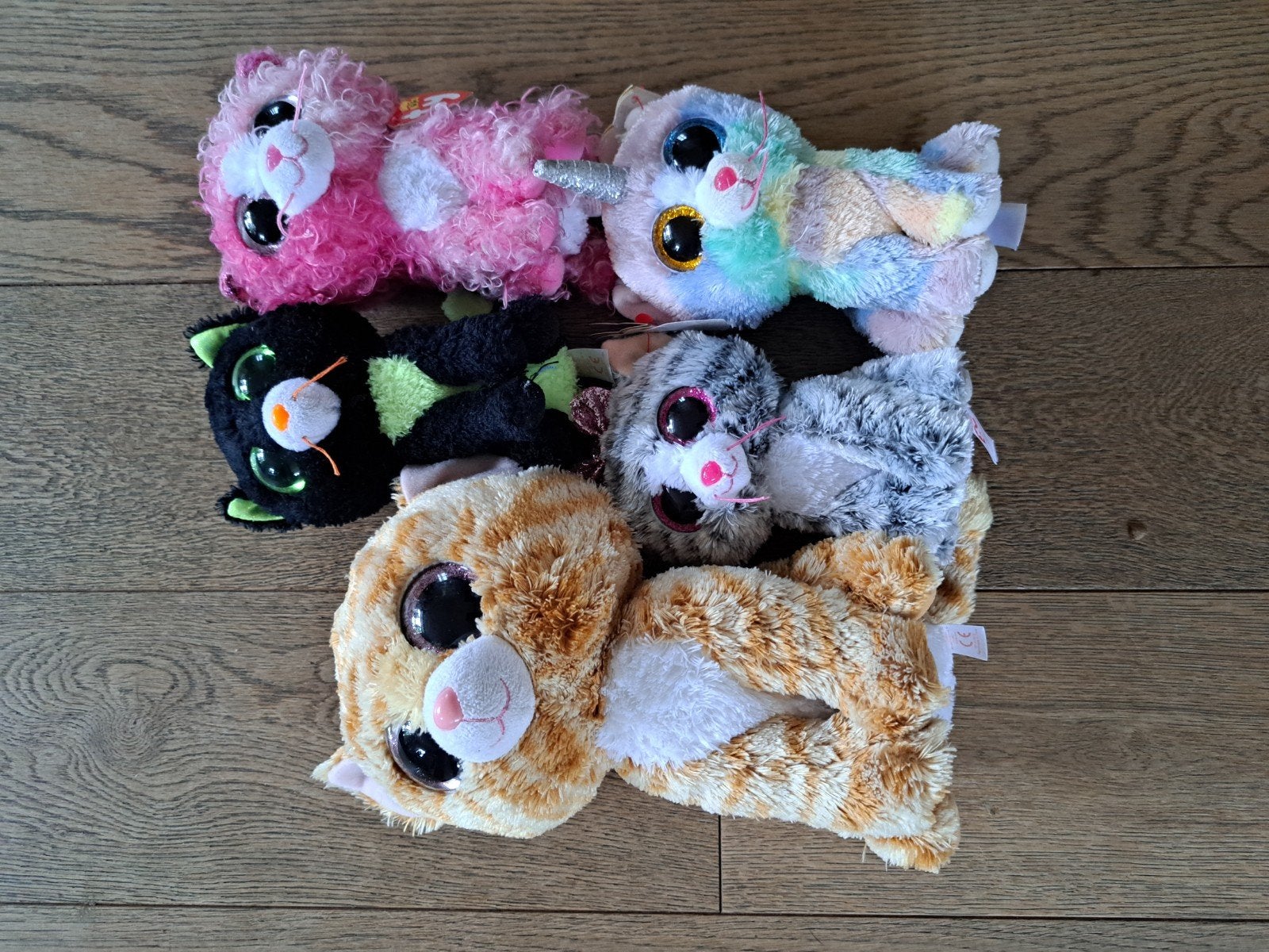 honden+katten beanie boo's ty, Gebruikt, Overige karakters, Wasbaar, Meerkleurig