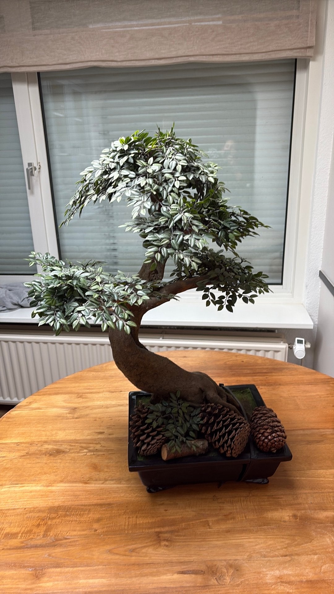 Kunst bonzai boom in pot, Ophalen, Binnen, Kunstplant, Gebruikt