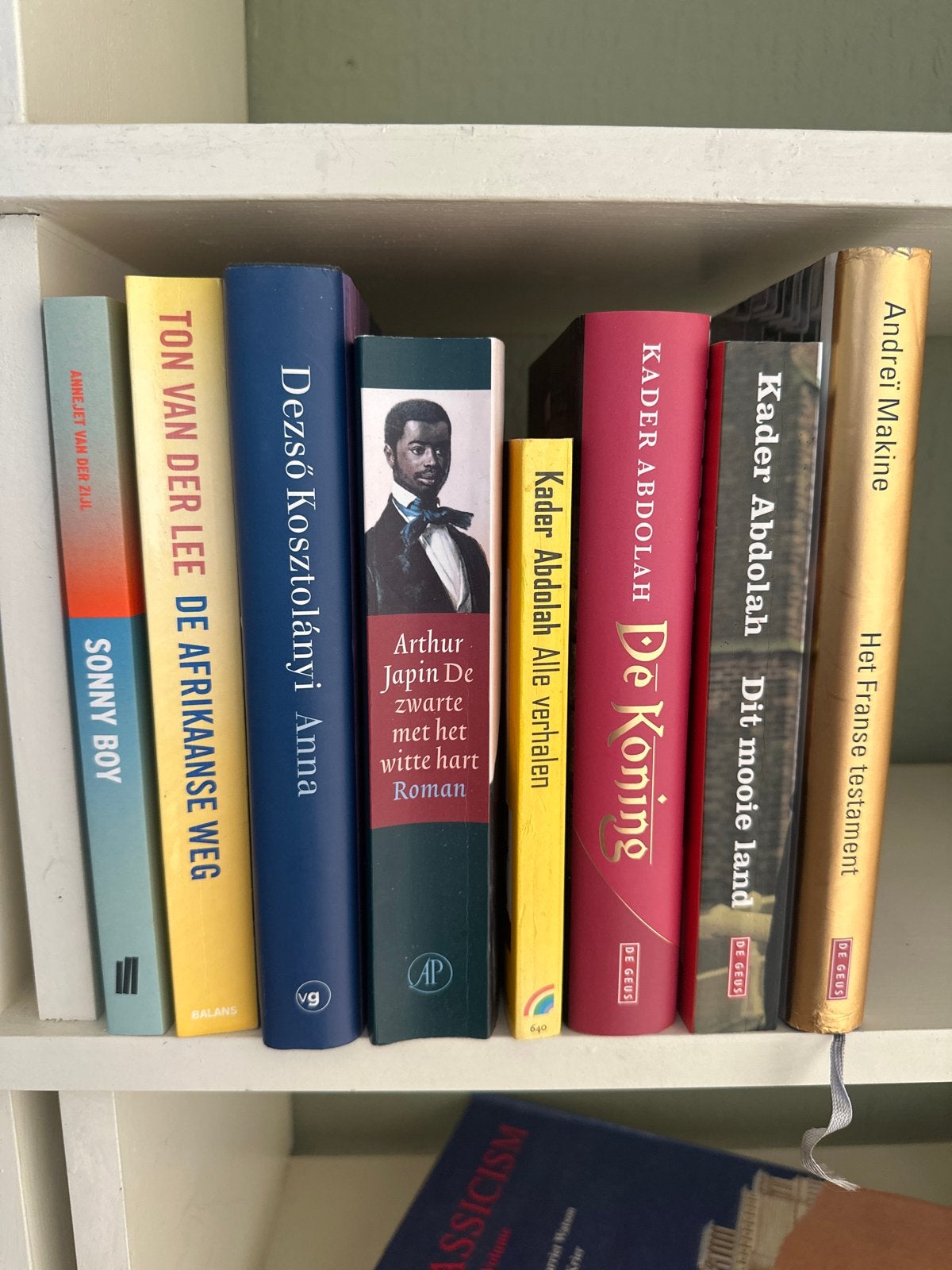 Diverse boeken Japin, Abdolah en meer, Ophalen, Gelezen, Nederland