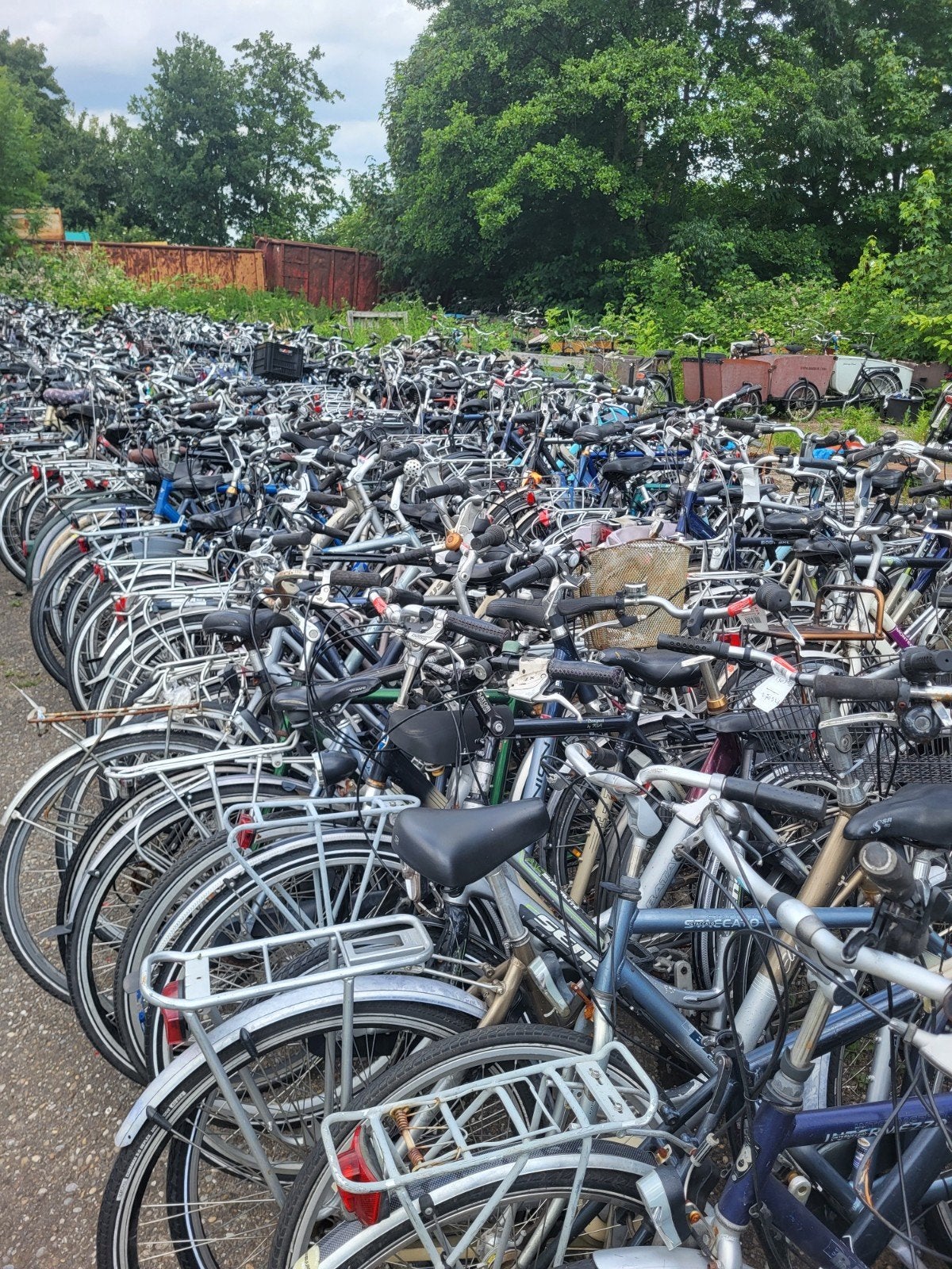 Grote partij fietsen aluminium, Fietsen en Brommers, Fietsen | Dames | Damesfietsen, Ophalen of Verzenden, Overige merken