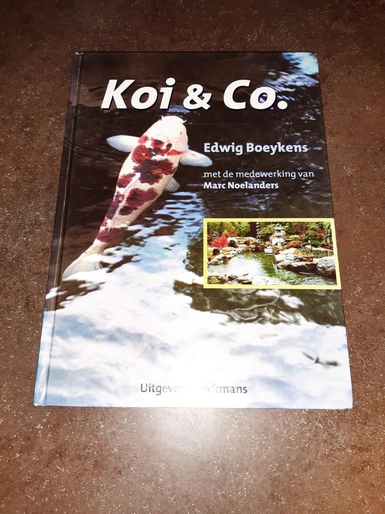 Koi & co Edwig Boeykens, Ophalen of Verzenden, Zo goed als nieuw, Katten