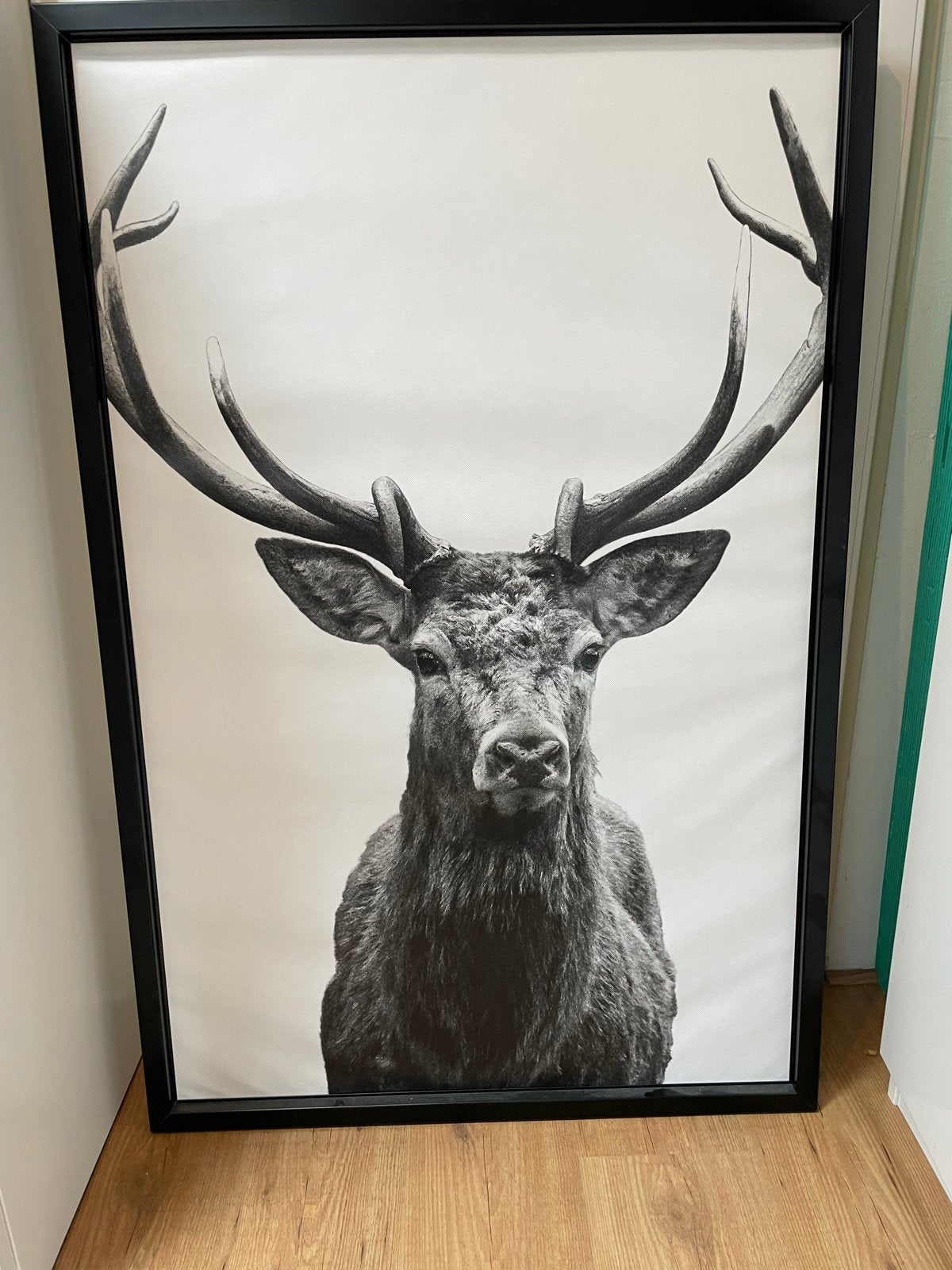 IKEA Foto op Canvas met Lijst - Eland (ca. 140 cm), Ophalen, Zo goed als nieuw, Foto of Poster, 75 – 100