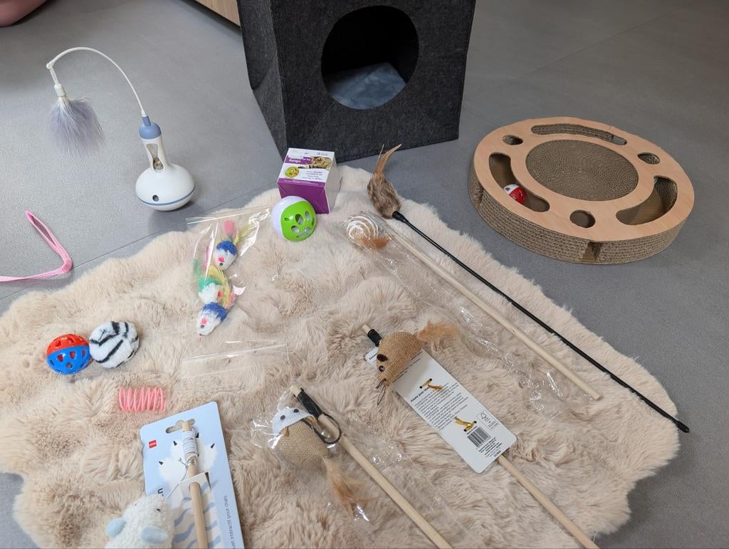 Uitgebreid Kitten startpakket (POES), Ophalen of Verzenden, Zo goed als nieuw, Speelmuis