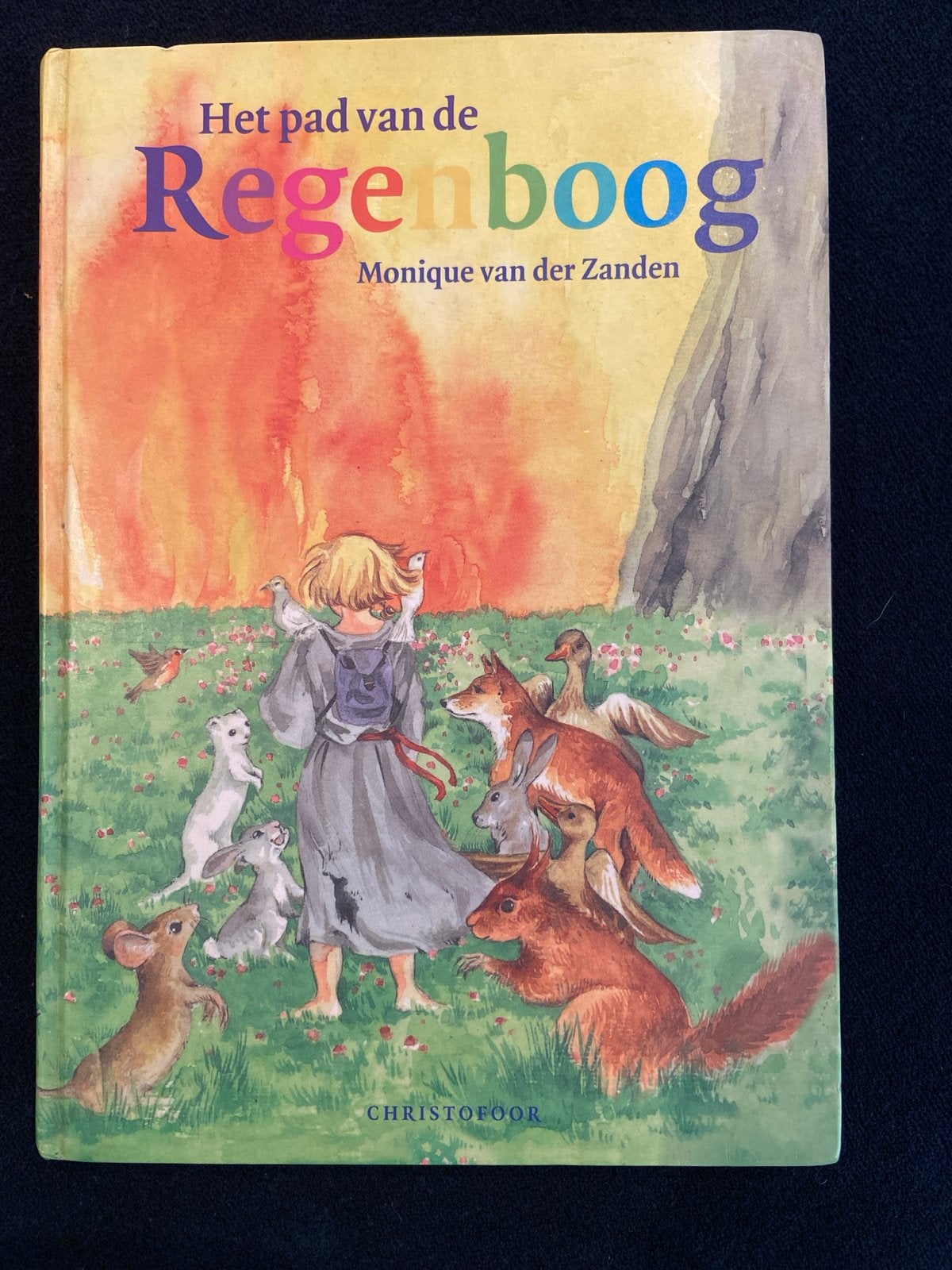 Monique van der Zanden - Het pad van de regenboog, Monique van der Zanden, Ophalen of Verzenden, Zo goed als nieuw, Sprookjes