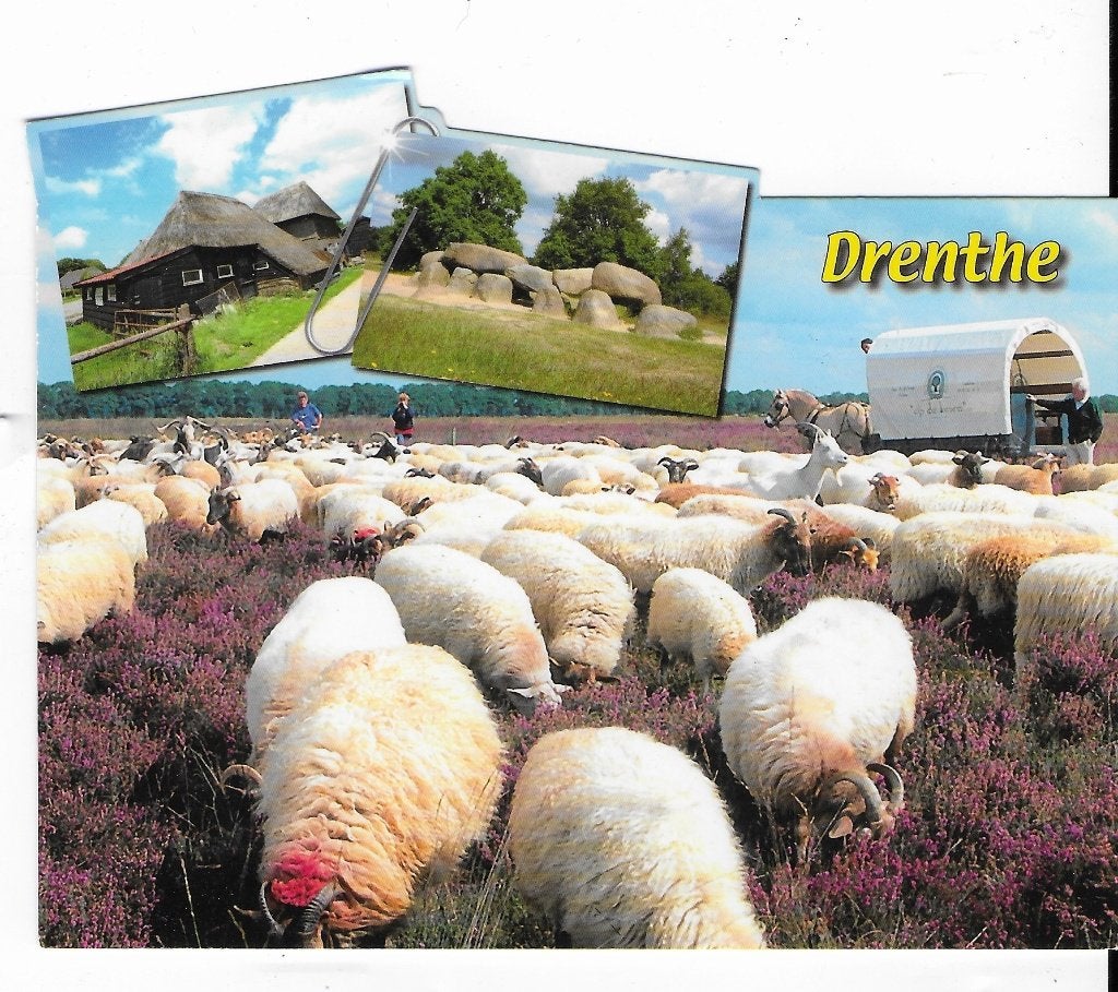 Ch951 Gelopen ansichtkaart drenthe, Ophalen of Verzenden, 1980 tot heden, Gelopen, Drenthe