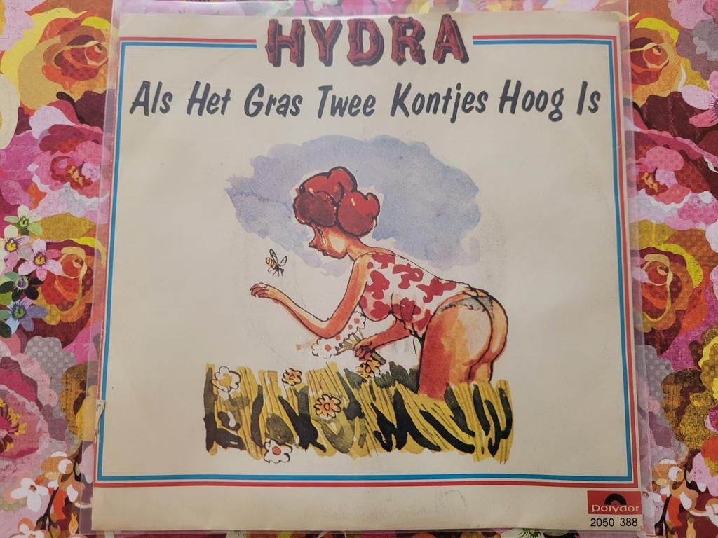 Hydra - Als het gras twee kontjes hoog is., Ophalen, Zo goed als nieuw, Overige formaten, Levenslied of Smartlap