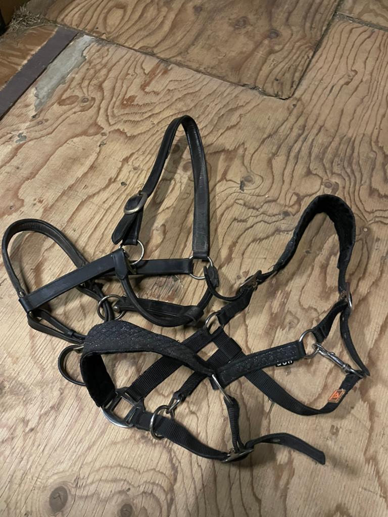 Halsters, Dieren en Toebehoren, Ophalen of Verzenden, Zo goed als nieuw, Overige soorten