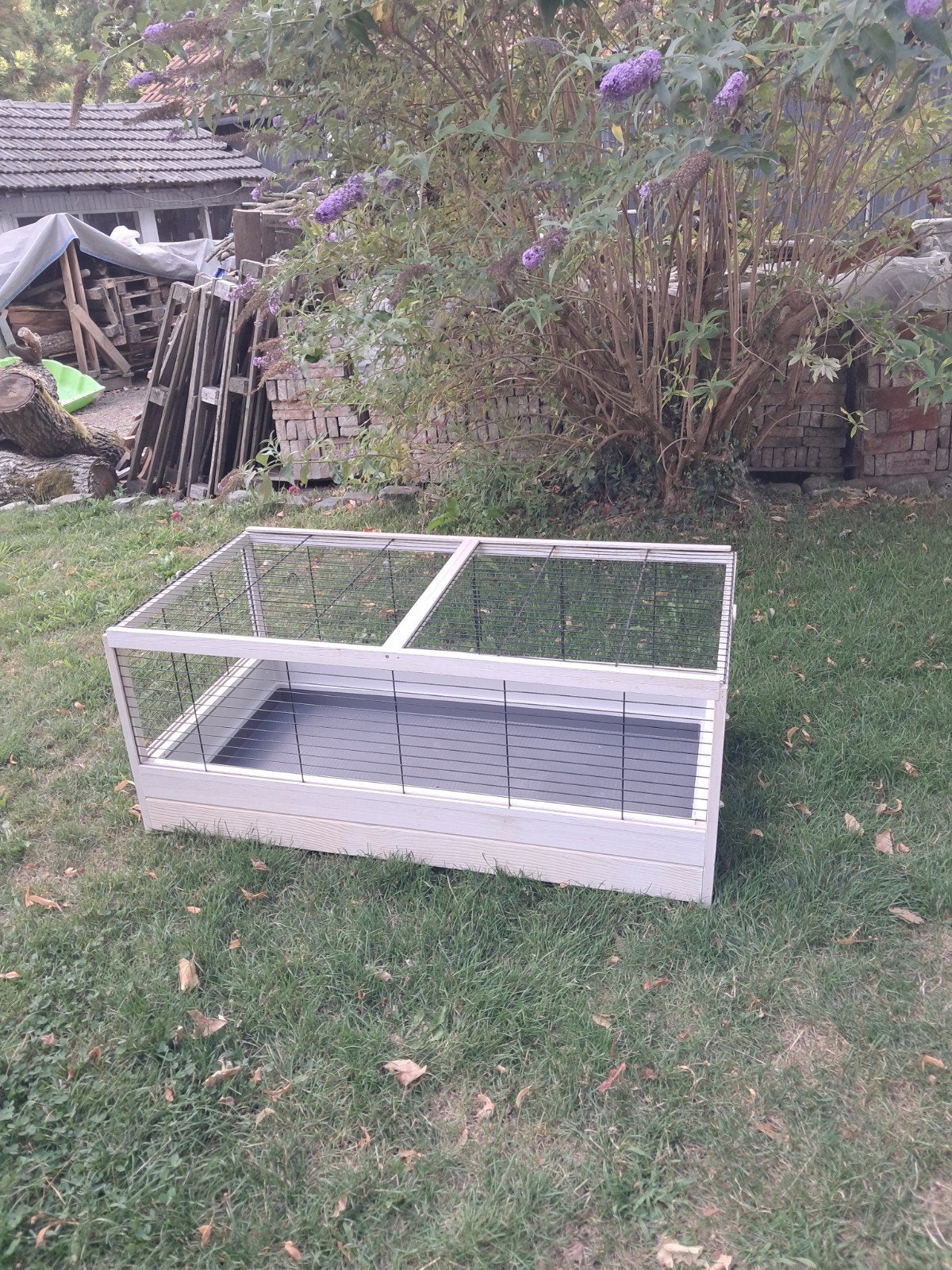 Cavia kooi met accessoires, Dieren en Toebehoren, Ophalen, Kooi, Cavia, Minder dan 60 cm