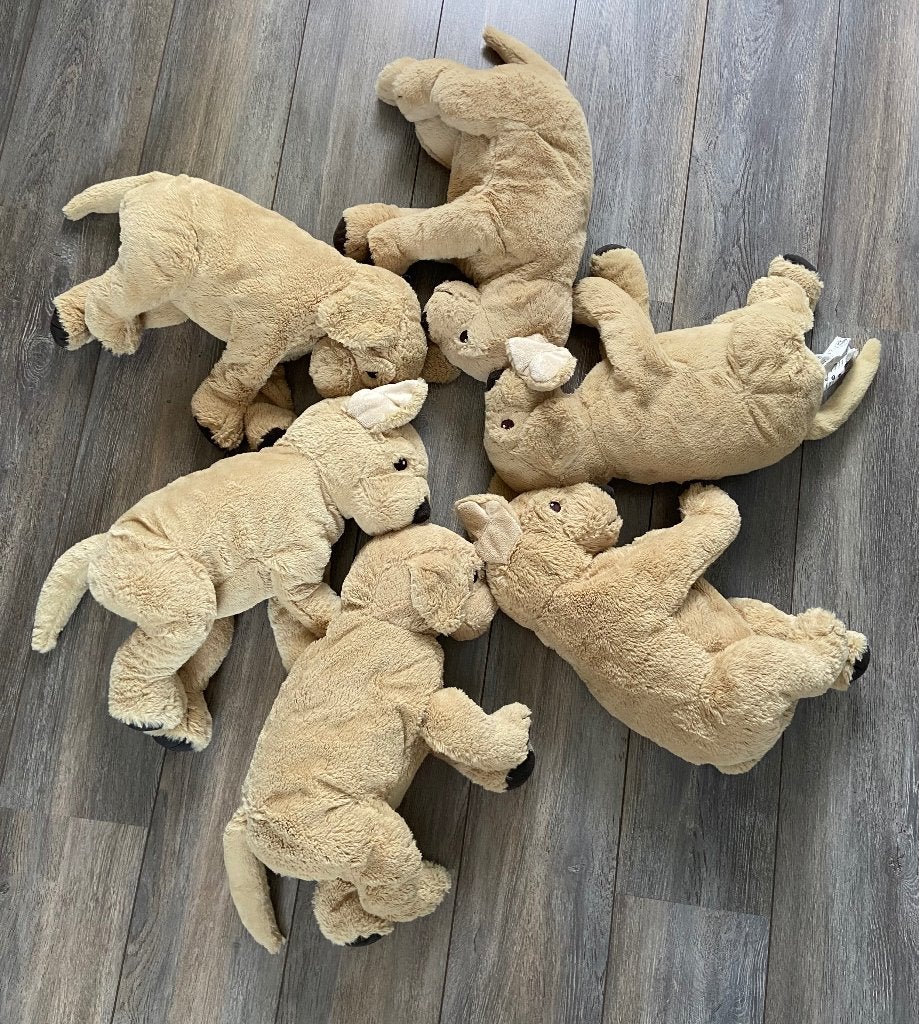 G035 ikea hond Gosig Golden 35 cm, Ophalen of Verzenden, Hond