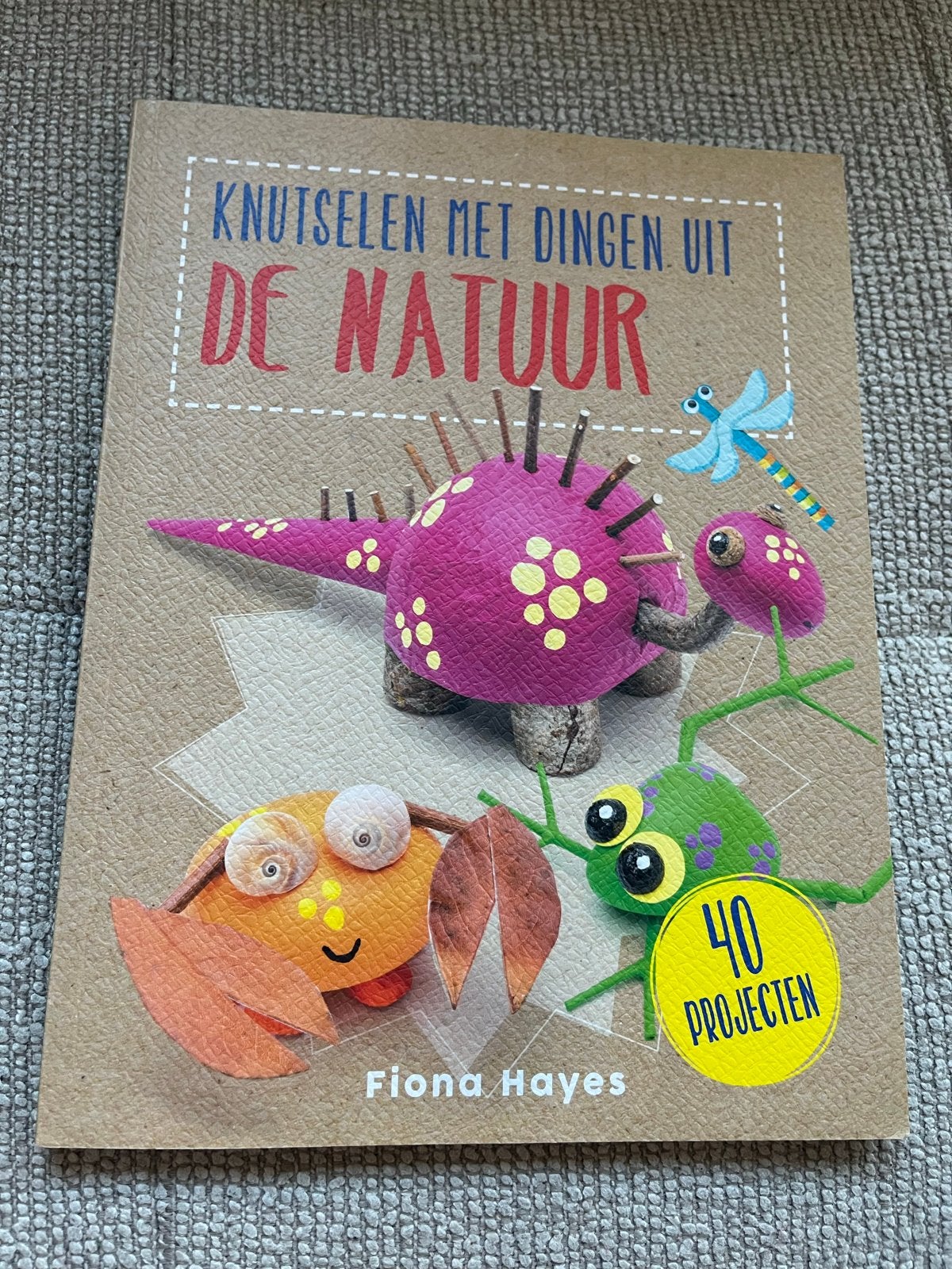 Knutselen met dingen uit de natuur - Fiona Hayes, Ophalen of Verzenden, Zo goed als nieuw, Scrapbooking en Knutselen, Geschikt voor kinderen