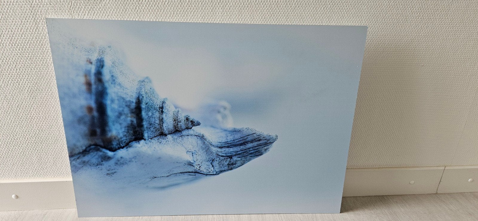 Foto schelp op dibond, Ophalen
