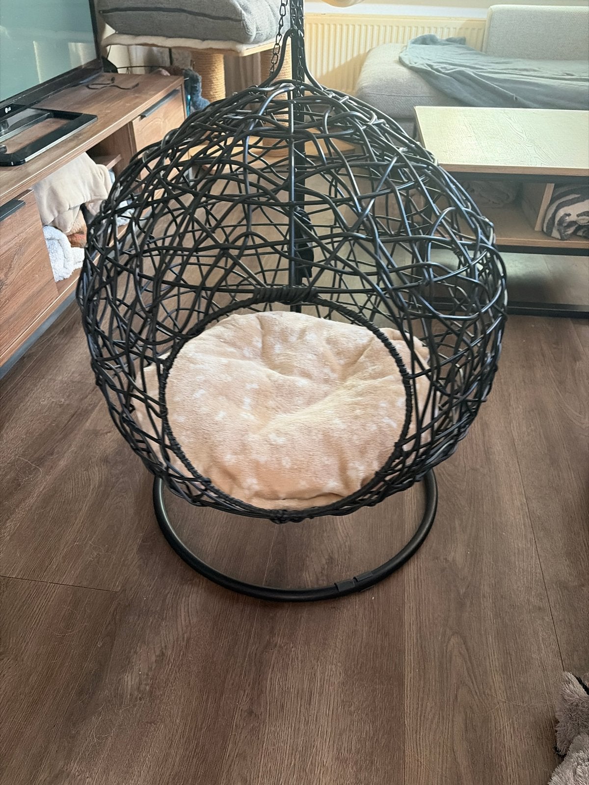 Hangstoel katten, Ophalen of Verzenden, Zo goed als nieuw