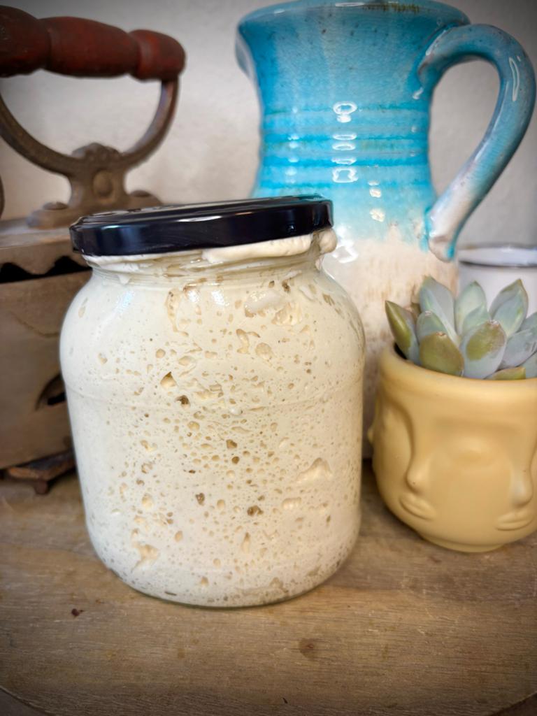 Zuurdesem sourdough starter 6 jaar oud, Ophalen of Verzenden, Zo goed als nieuw, Overige typen