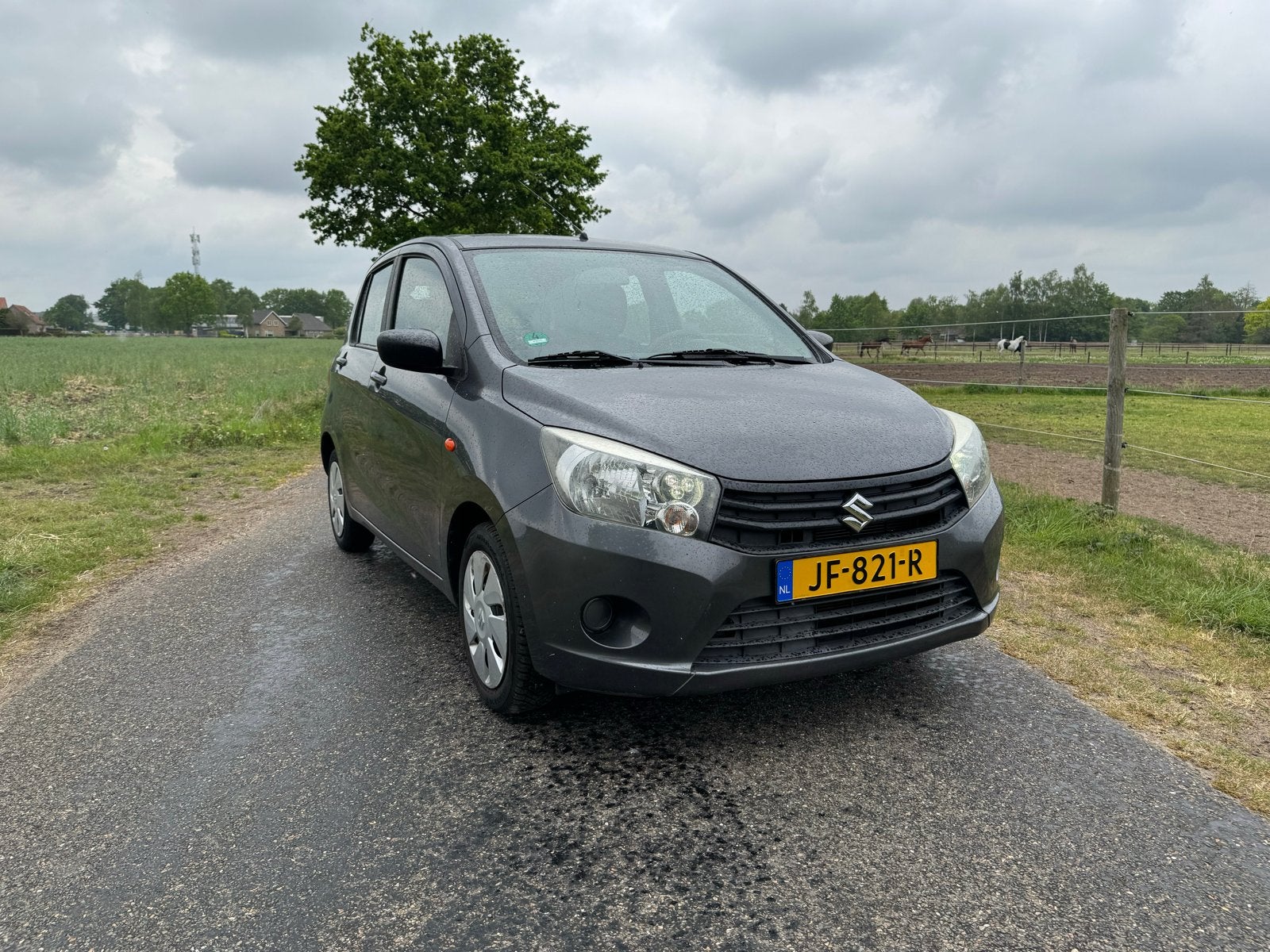 Suzuki Celerio