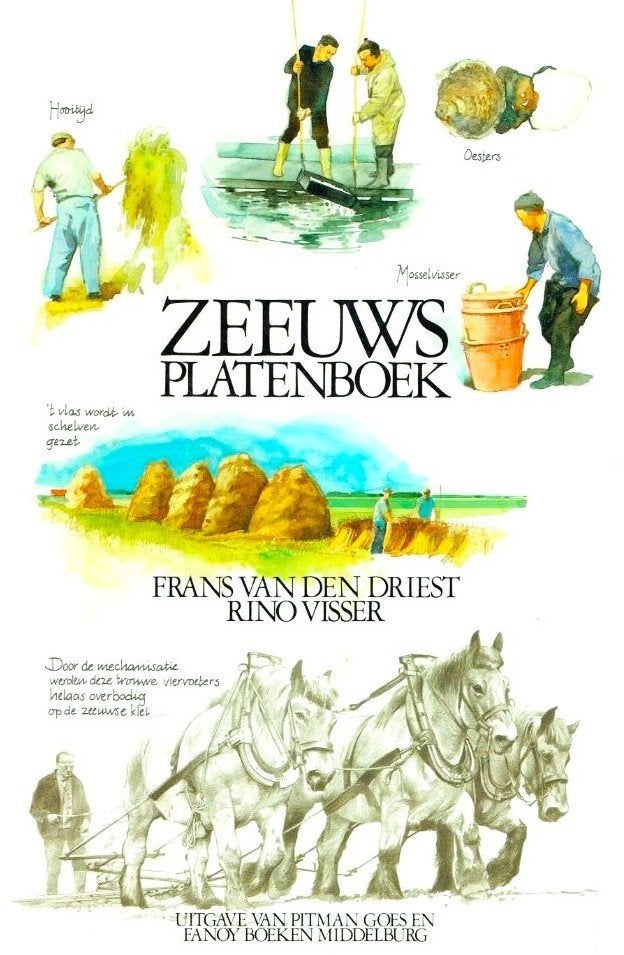 Zeeuws Platenboek - Rino Visser / 9789070174170, Ophalen of Verzenden, Zo goed als nieuw, Rino Visser, 20e eeuw of later