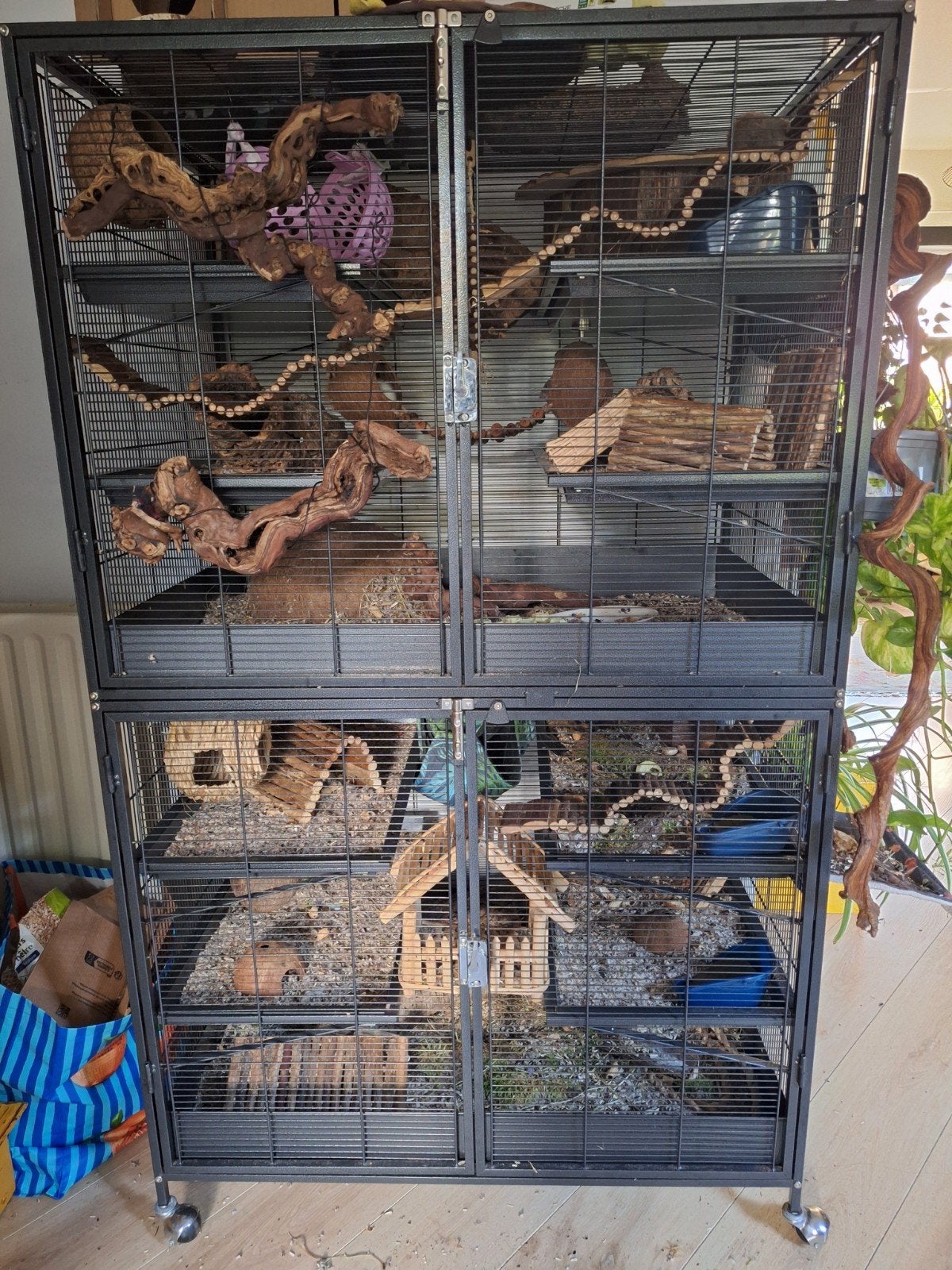 ruime knaagdierenkooi, Ophalen, Kooi, Chinchilla, Zo goed als nieuw