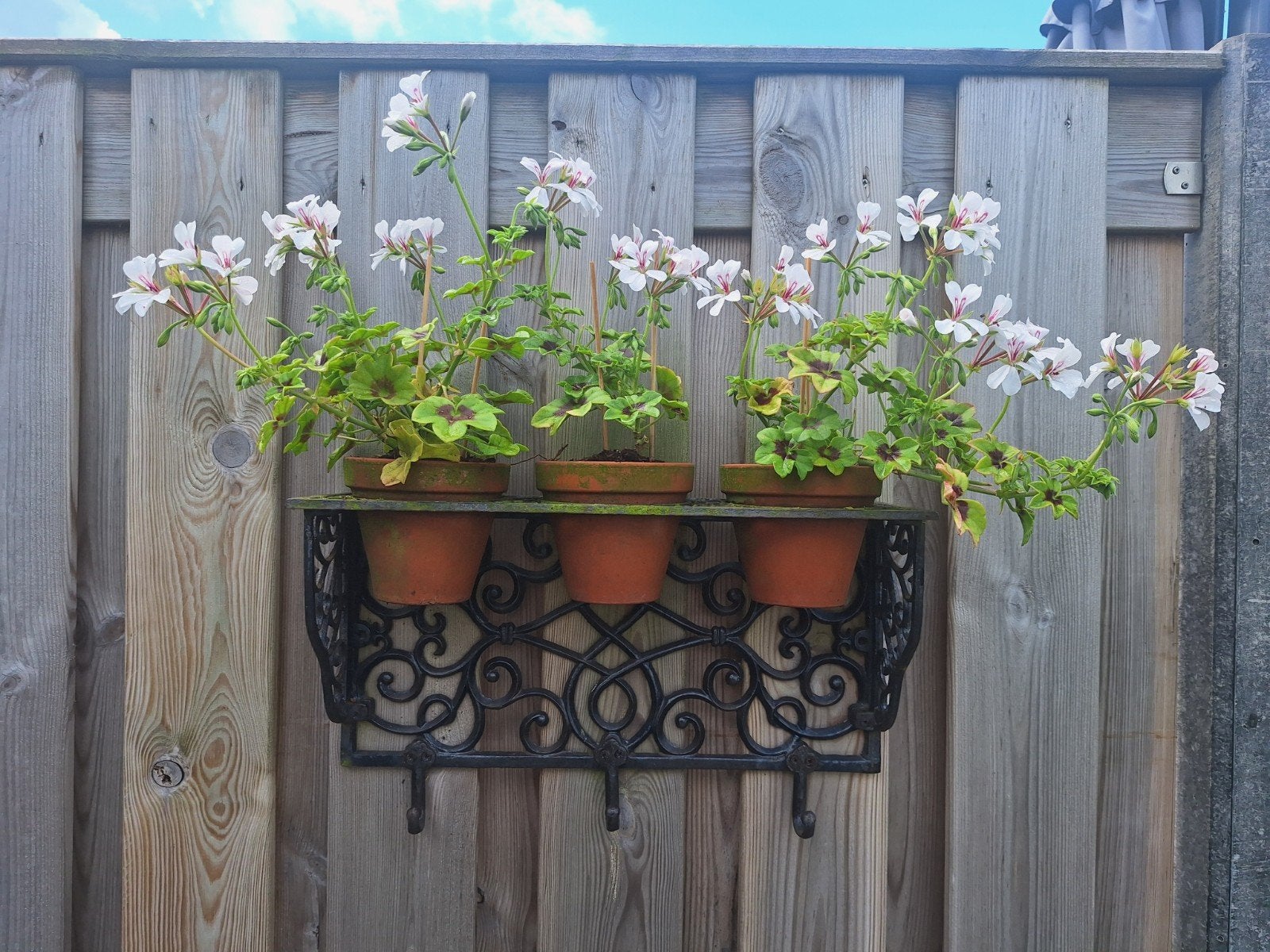 Tk bloemen rek gietijzer 15 euro incl plantjes, Ophalen, IJzer, Minder dan 3 meter, 1 tot 2 meter