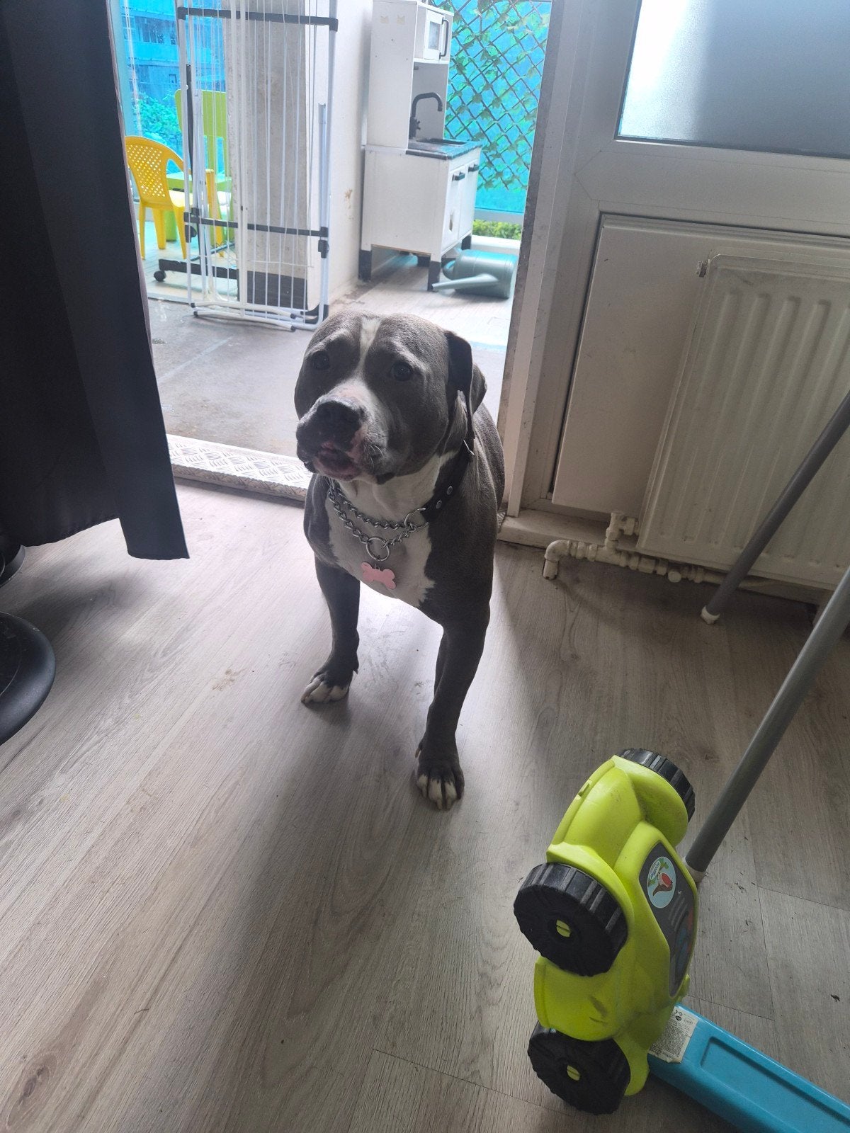 Bully teefje, Ophalen