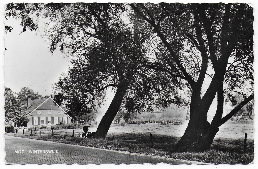 Winterswijk Ongelopen Ansichtkaart (B8061 ), Ophalen of Verzenden, 1940 tot 1960, Ongelopen, Gelderland