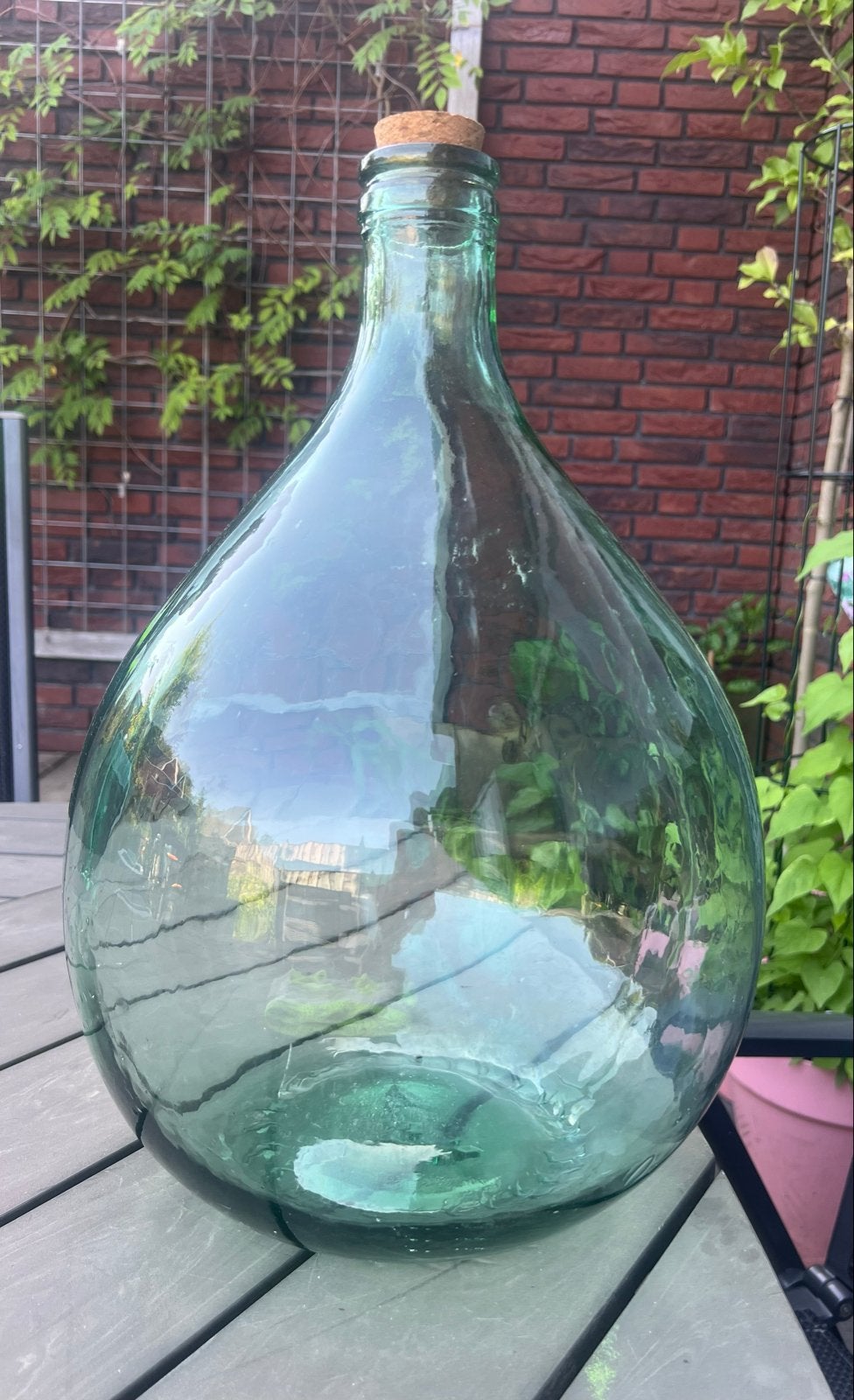 Planten terrarium - ecosysteem, Huis en Inrichting, Kamerplanten, Ophalen, Halfschaduw, Minder dan 100 cm