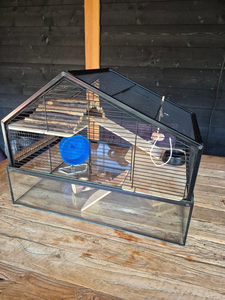 Mooie hamsterkooi, Kooi, Minder dan 75 cm, Zo goed als nieuw, Ophalen