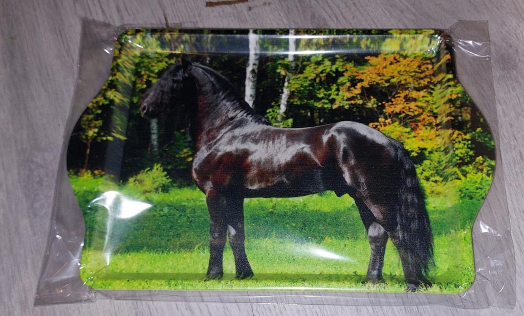 Nieuw klein dienblad met Fries paard, Ophalen of Verzenden, Nieuw, Overige vormen, Overige materialen