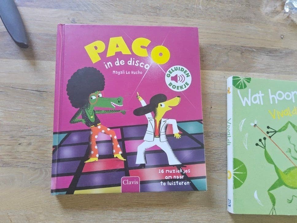 Paco in de disco - Geluidenboekje, Magali Le Huche, Ophalen of Verzenden, Zo goed als nieuw, 2 tot 3 jaar