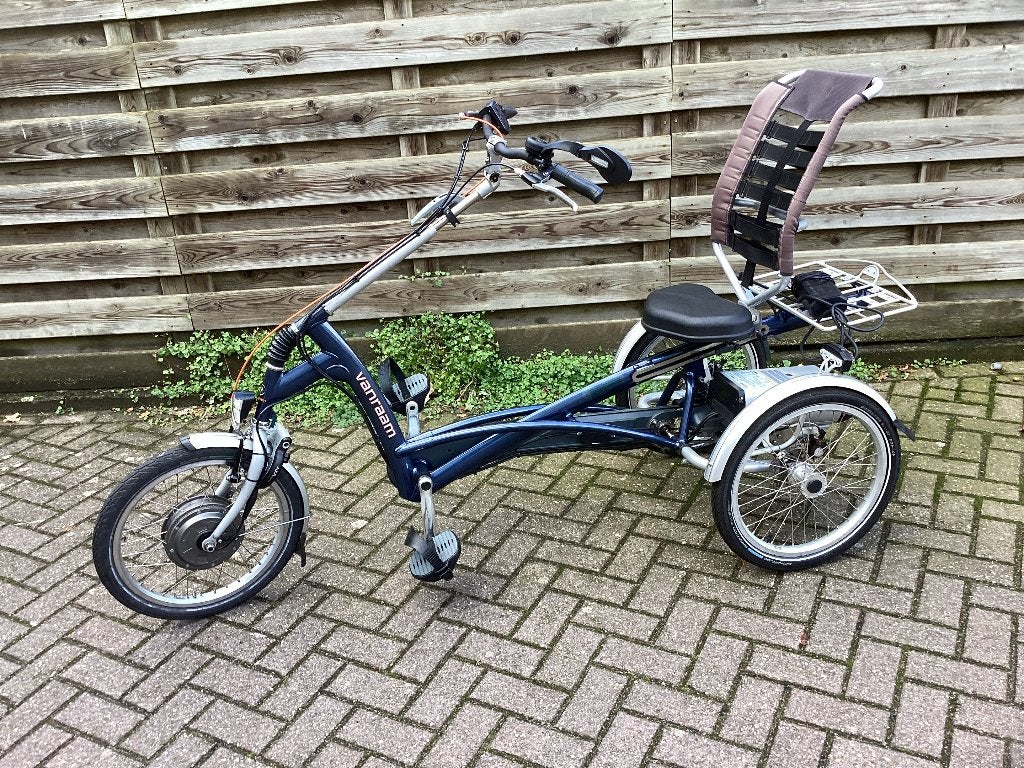 Van Raam Eastrider met ondersteuning, Ophalen of Verzenden, Gebruikt