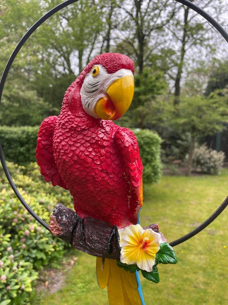 Beeld papegaai Rood tuin, vijver, balkon 50cm, Tuin en Terras, Tuinbeelden, Nieuw, Dierenbeeld, Kunststof, Ophalen of Verzenden