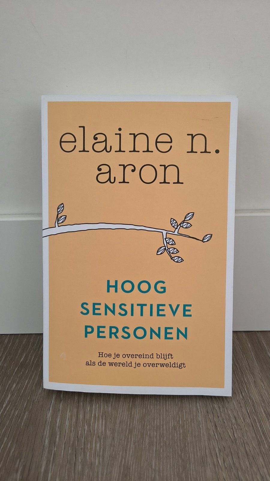 Hoog Sensitieve Personen - Elaine N. Aron, Boeken, Ophalen of Verzenden, Zo goed als nieuw, Overige onderwerpen, Elaine N. Aron