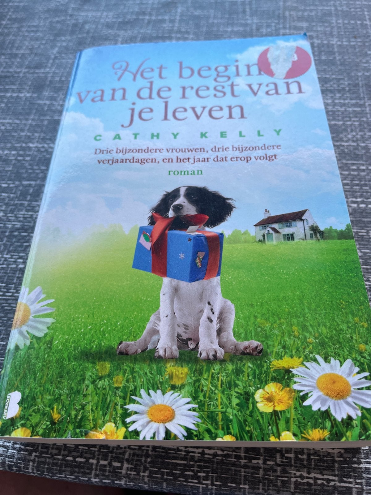 Het begin van de rest van je leven - Cathy Kelly roman, Ophalen of Verzenden, Zo goed als nieuw, Europa overig