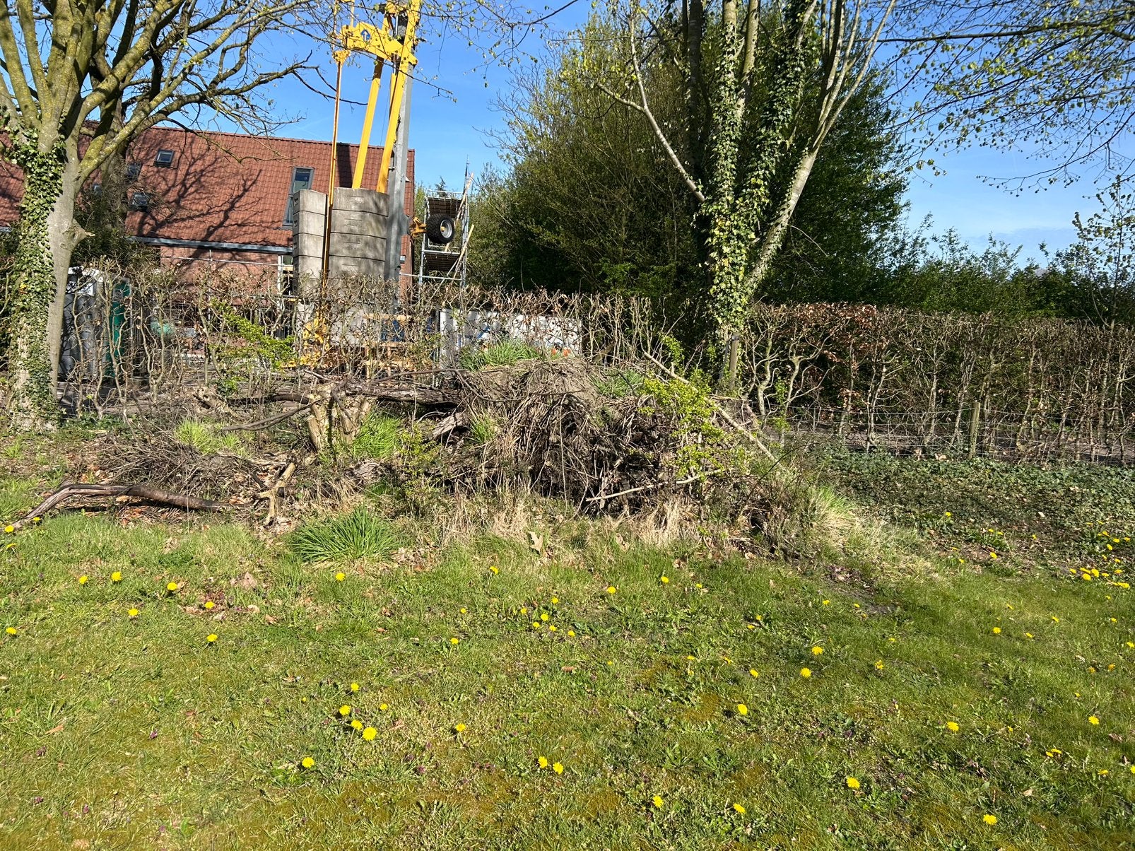 Oprnhaardhout/tuinhout, Minder dan 3 m³, Ophalen