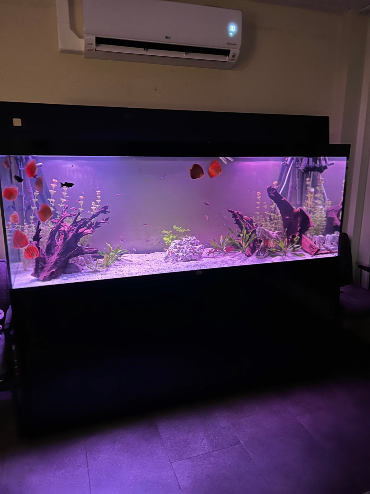 Complete aqualantis sublime ultra 200. 1000L, Dieren en Toebehoren, Ophalen, Zo goed als nieuw, Gevuld zoetwateraquarium