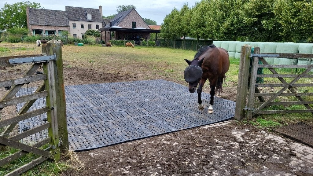 Mudmodder paddockplaten ideaal voor droge paddock paard pony, Dieren en Toebehoren, Stalling en Weidegang, Weidegang, 1 paard of pony