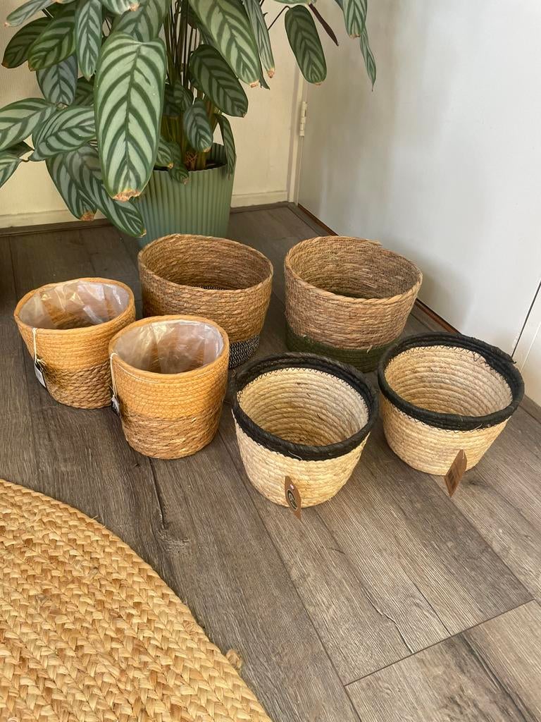 6 rieten planten mandjes 4 nog met kaartjes eraan, Overige materialen, Rond, Nieuw, Ophalen of Verzenden