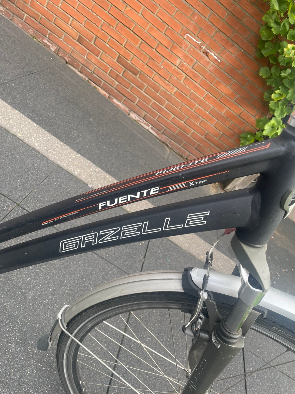 Gazelle Fuente Xtra Damesfiets, Ophalen, Velgrem, Versnellingen, Gazelle