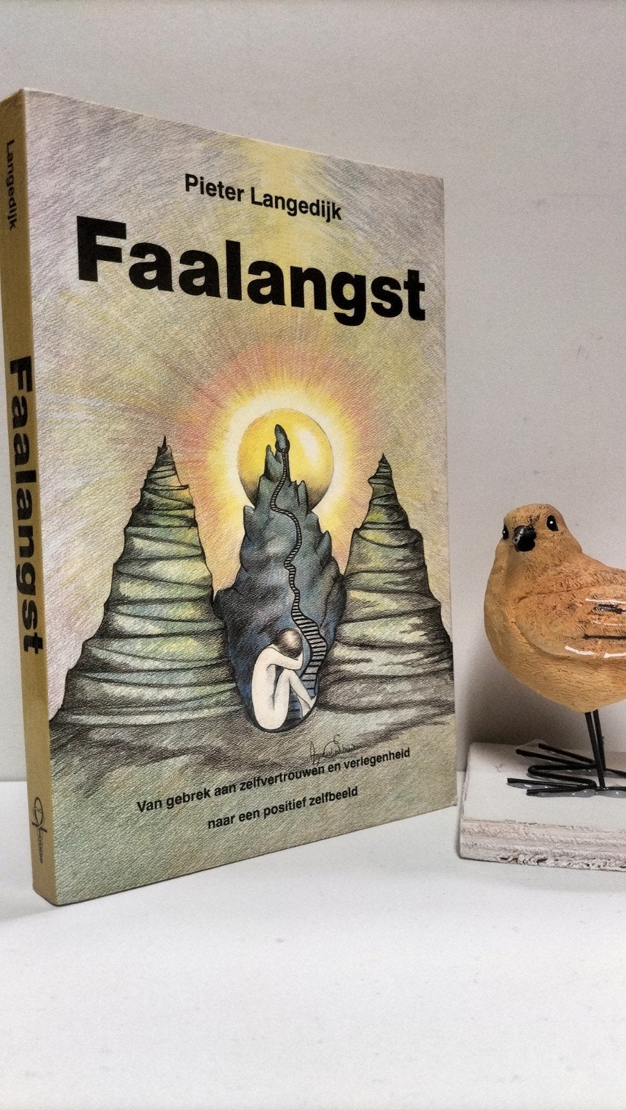 Langedijk, Pieter; Faalangst, Boeken, Ophalen of Verzenden, Gelezen